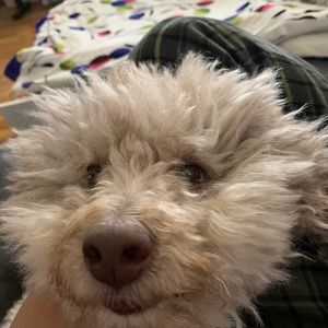 Meet your Posher, Jaxk